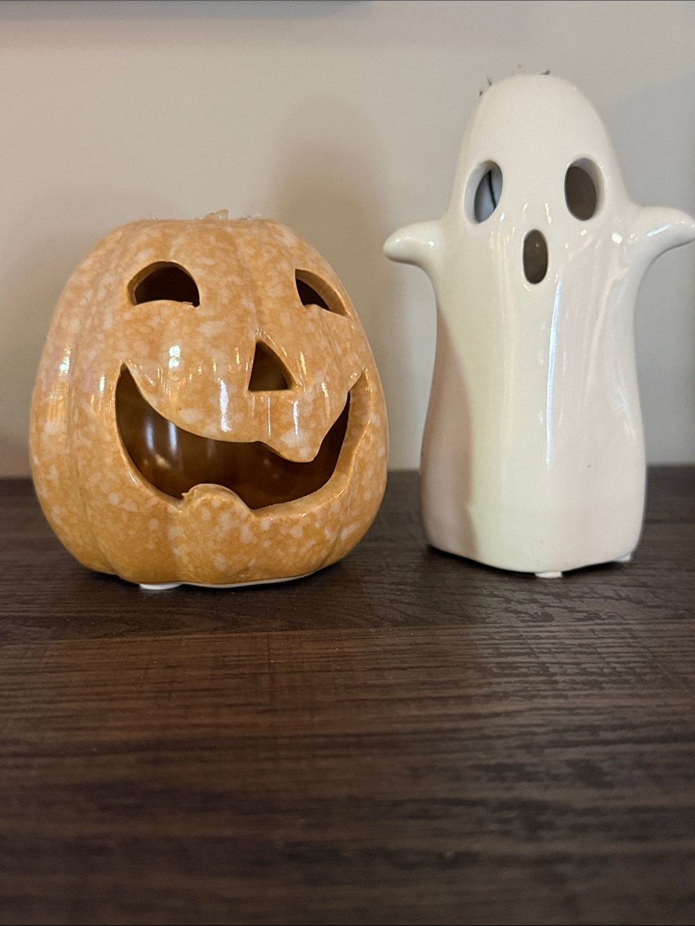 Air Plant Display Halloween Ghost and Pumpkin